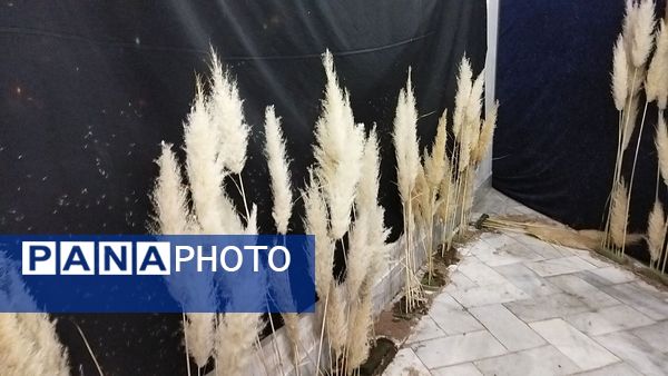گذری بر دومین نمایشگاه دالان عشق در نیشابور 