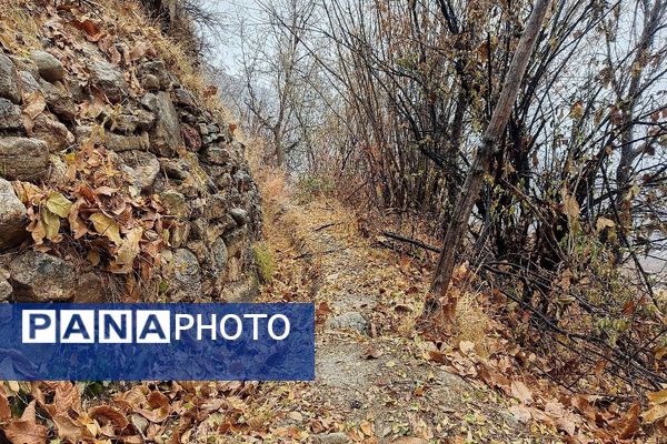 چهره شفاف و دل انگیز شهربارنیشابور با بارش  باران پاییزی  