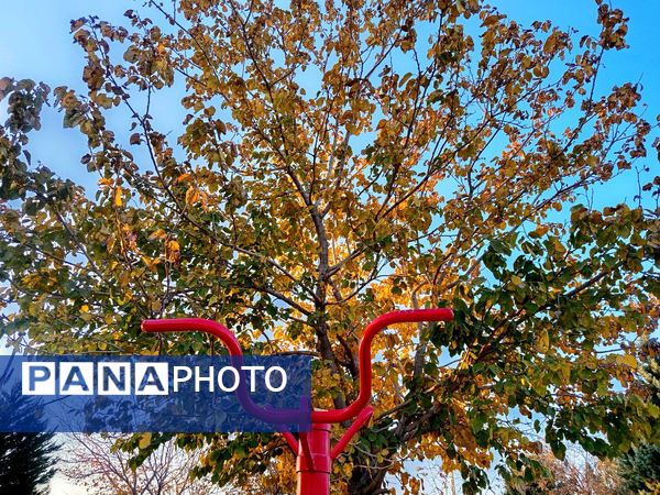 طبیعت زیبای کاشمر در پاییز