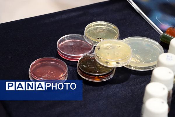 دوازدهمین نمایشگاه دستاوردهای پژوهش، فناوری و فن‌بازار در یزد آغاز به کار کرد