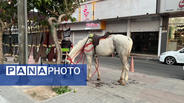 نوجوانان تهرانی هم‌نوا با اسرای کربلا به سوگ امام حسین (ع) نشستند