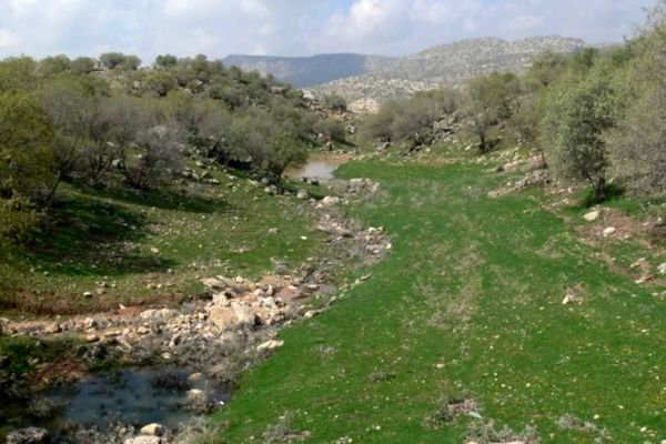 رومشکان گوهر پنهان طبیعت در نوروز ۱۴۰۴