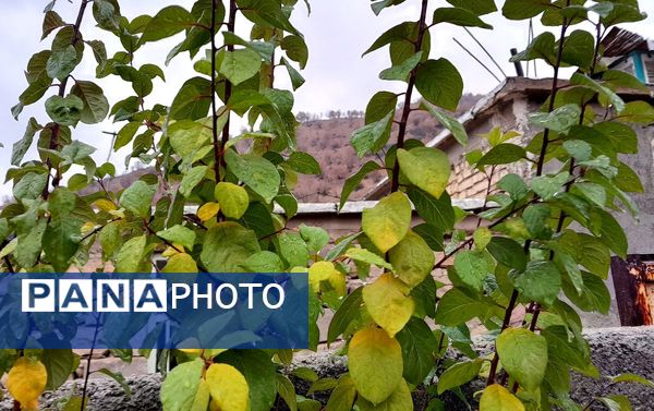 بازگشت باران به میانکوه پس از ماه‌ها خشکسالی