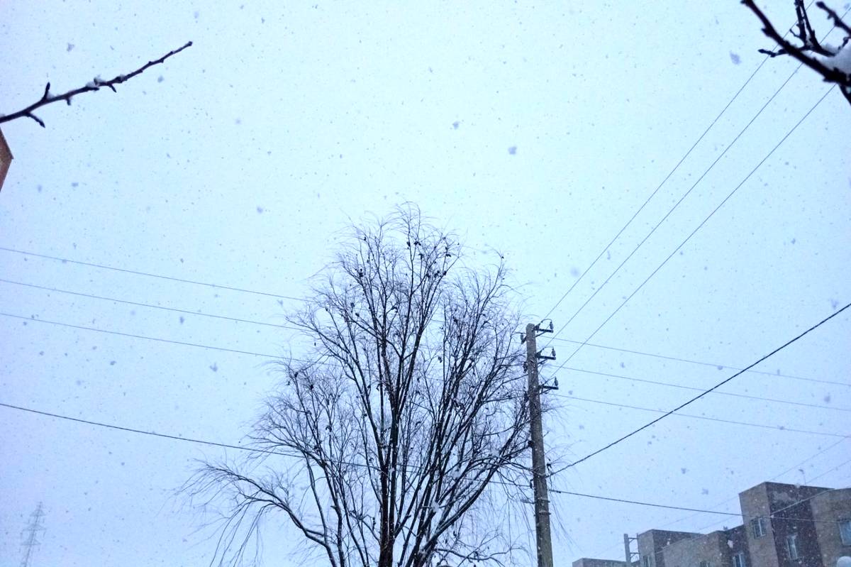 نخستین برف در هفتمین روز زمستان بر فیروزکوه نشست