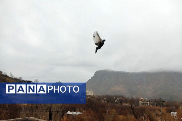 چهره شفاف و دل انگیز شهربارنیشابور با بارش  باران پاییزی  