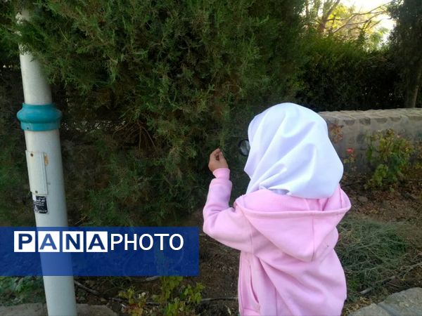 لمس طبیعت با حواس پنج‌گانه، سفری از شناخت تا شکرگزاری در هفته بهداشت روان