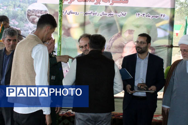 جشن شکر گزاری برداشت گردو 