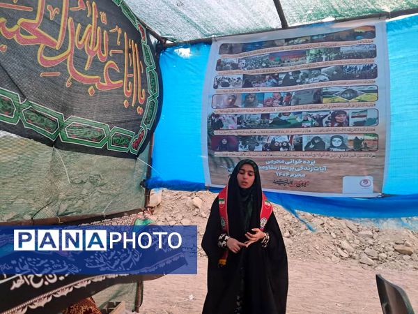 شور پیاده‌روی جاماندگان اربعین گامی به یاد شهدا