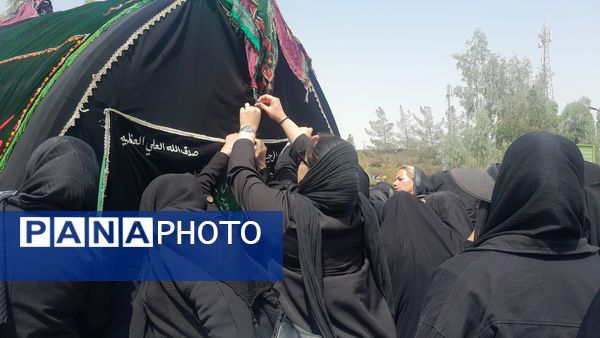 آیین نخل گردانی روز عاشورا با حضور کم نظیر مردم منطقه امامزاده بادرود