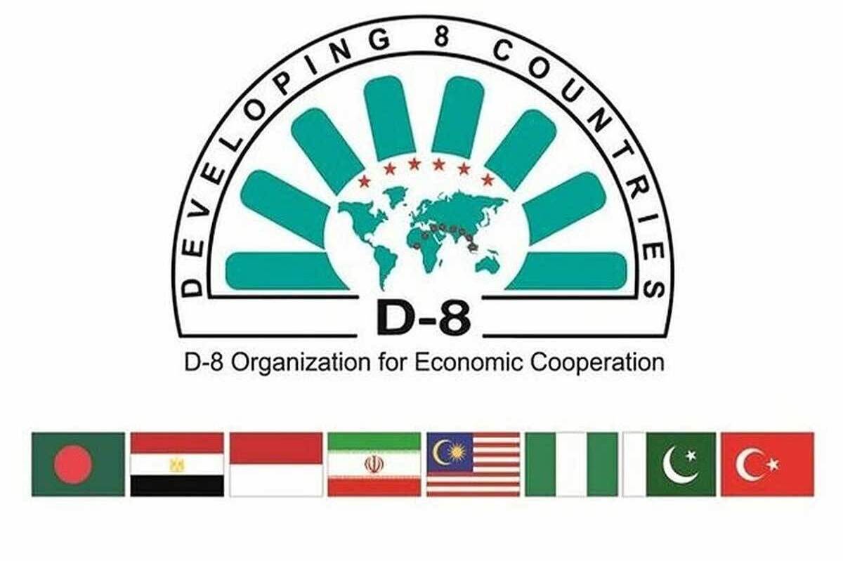 آغاز اجلاس وزرای بهداشت گروه 8-D در قاهره/ حضور هیات ایرانی به سرپرستی معاون وزیر بهداشت