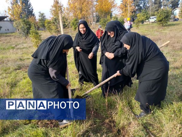 پویش سراسری کاشت نهال در سایه مادر همزمان با ایام ولادت حضرت زهرا (س) در میاندورود 