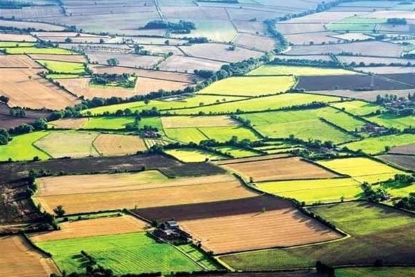 کاشت گونه‌های بومی و سازگار با اقلیم در اولویت است