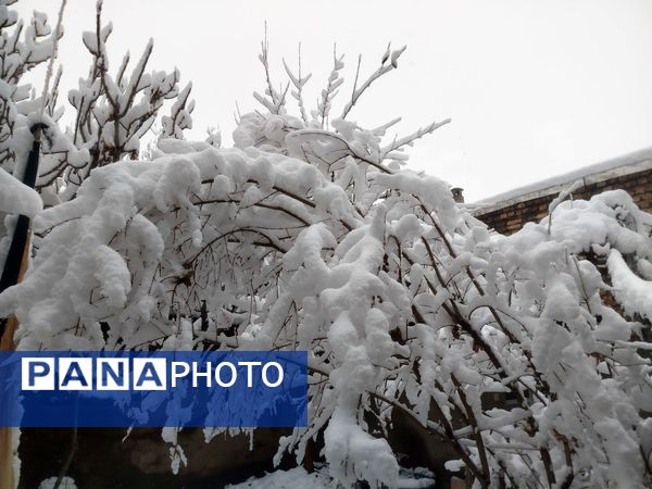 جلوه های زیبا از بارش برف در شهرستان نیشابور 
