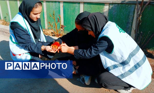 هنرستان جنت فارسان میزبان مانور زلزله