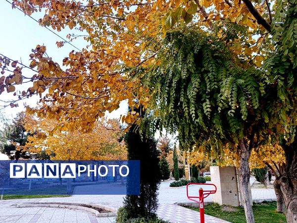 طبیعت زیبای کاشمر در پاییز