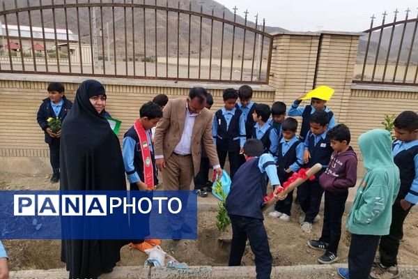 مراسم نمادین کاشت نهال در حاجی‌آباد 