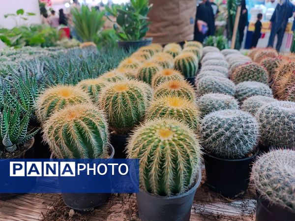  دهمین نمایشگاه گل و گیاه و گیاهان آپارتمانی در اردبیل