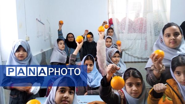 یلدای مهربانی با طعم پرتقال در دبستان شهید نجفی فدافن