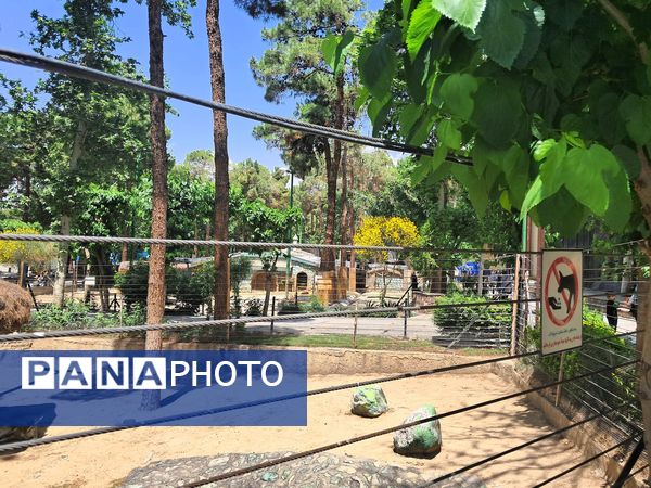 بازدید از باغ وحش ارم ،تجربه‌ای بی‌نظیر در دنیای شگفت‌انگیز حیوانات 