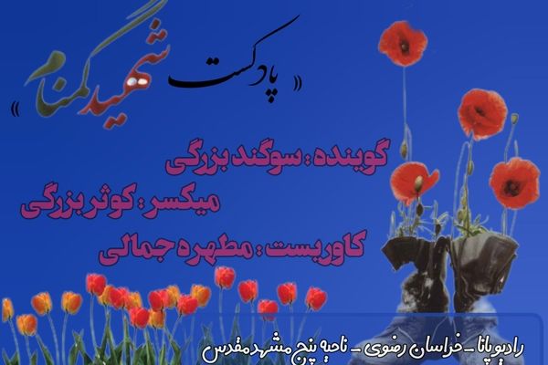 کتاب صوتی شهید گمنام