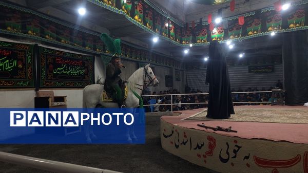 عطر غربت فاطمی در مارکده پیچید