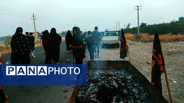 جاماندگان اربعین در مسیر شاه قطب‌الدین حیدر شهرستان رودان