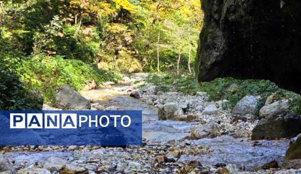 طبیعت بکر باران کوه استان گلستان