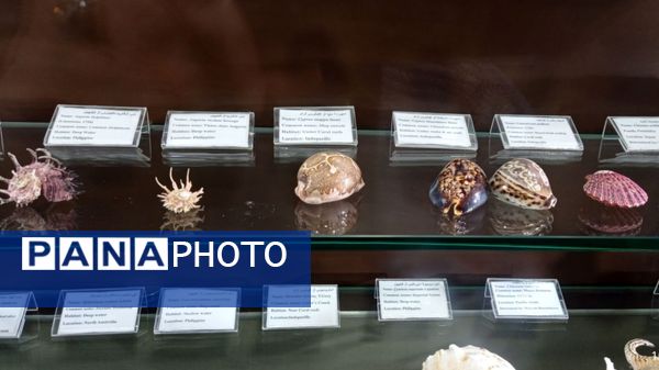 بازدید مدرسه ساره از پارک موزه علوم زمین