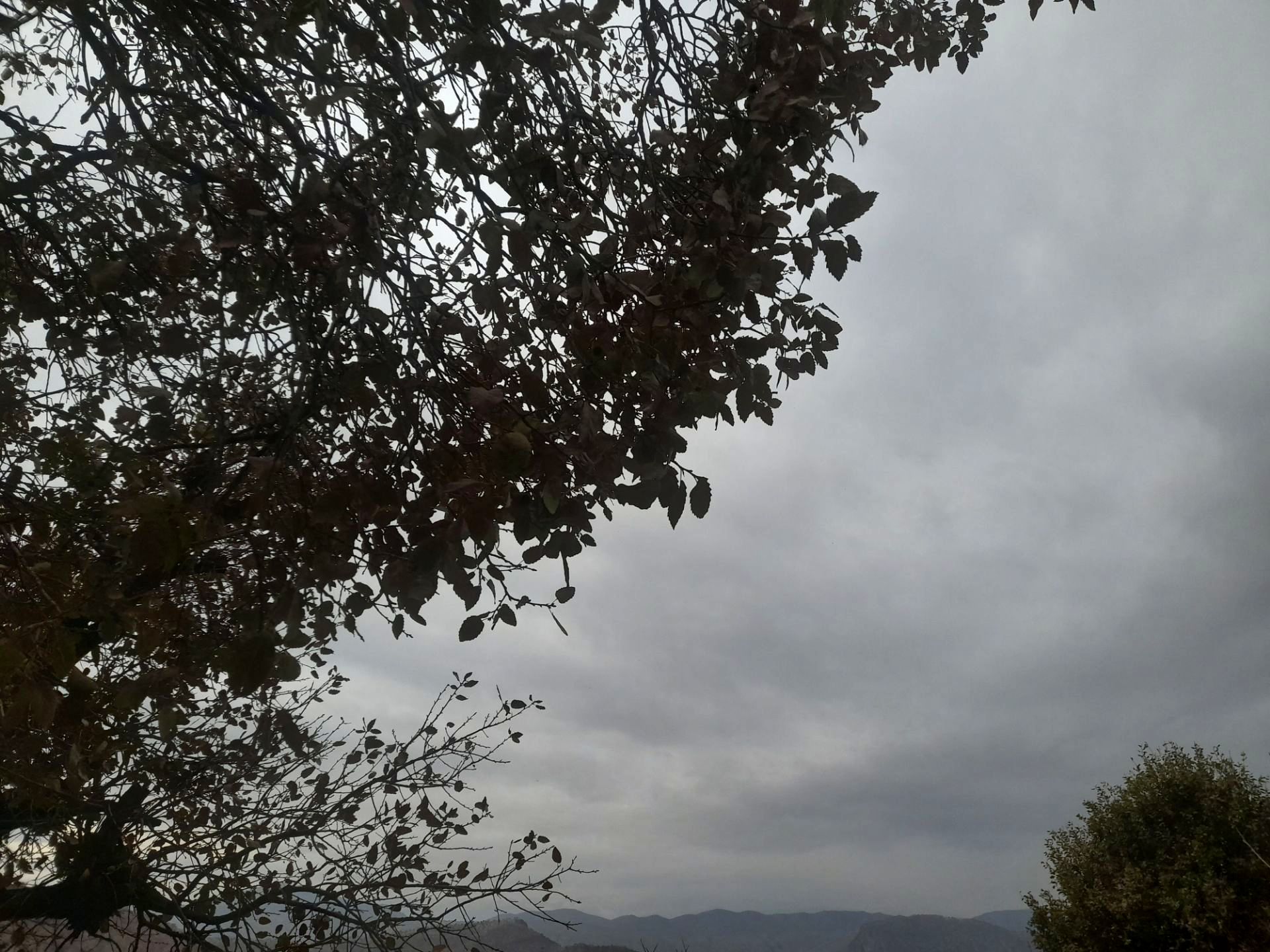 آغاز بارش‌های پاییزی پس از دوره خشکسالی در میانکوه