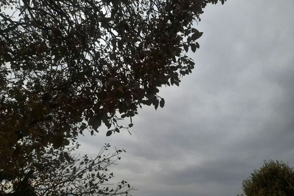 آغاز بارش‌های پاییزی پس از دوره خشکسالی در میانکوه