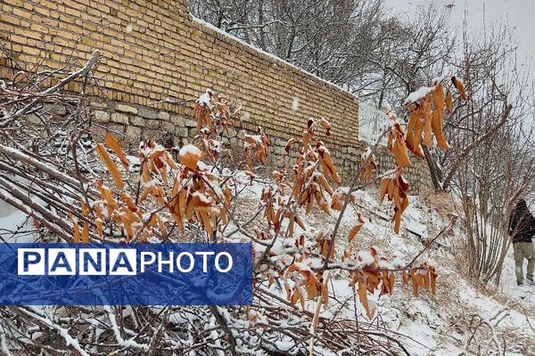 یک قدم مانده به زمستان طبیعت شهر بار کاملاً زمستانی شد