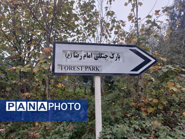 کردکوی، سرسبزترین شهرستان گلستان