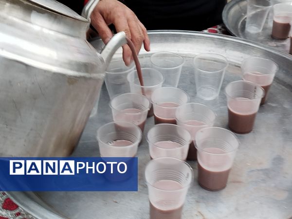 موکب‌های شادی در سطح شهرستان کاشمر 