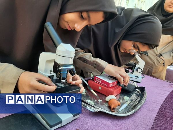 برپایی ایستگاه‌های آزمایشگاهی در مدرسه شهید محمدی پور خلیل‌آباد
