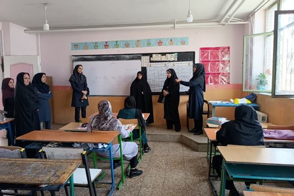 اجرای طرح بازدید «همتا» گامی مؤثر در بهبود روند سوادآموزی است