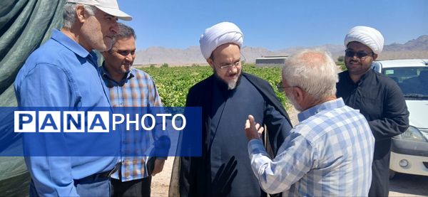 بازدید امام جمعه و رییس اداره کمیته امداد شهرستان خلیل‌آباد از کشاورزان 