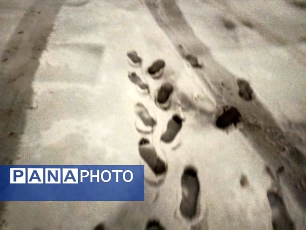 ورود باشکوه زمستان به نیشابور 