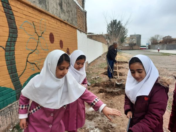 مراسم کاشت نهال در دبستان سید قطب رادکان 