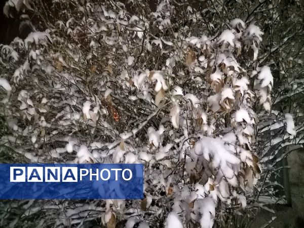 گذری بر بارش برف زمستانی در شهر بار