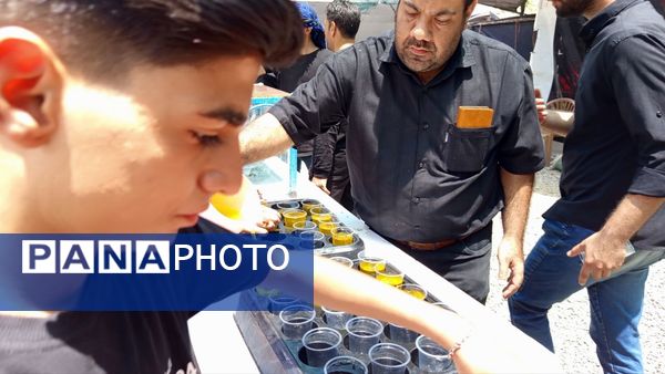 موکب‌های خدمت‌رسان به عزاداران حسینی در کاشمر