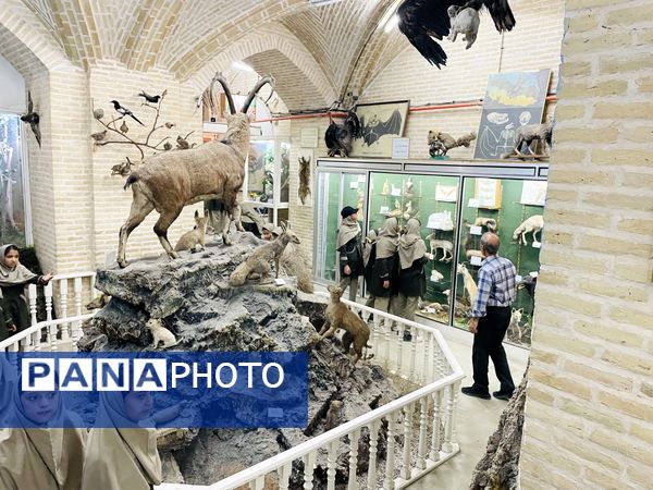 اردوی علمی-فرهنگی آموزشگاه قرآنی آیت الله غفاری  