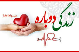 اهدای عضو یک فلسفه زندگی است