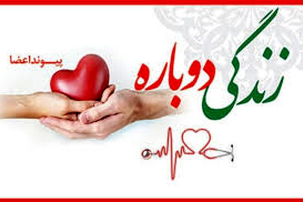 اهدای عضو یک فلسفه زندگی است
