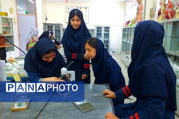 برگزاری کارگاه کار با میکروسکوپ در پژوهش‌سرای دانش‌آموزی بو‌علی سینای ملارد
