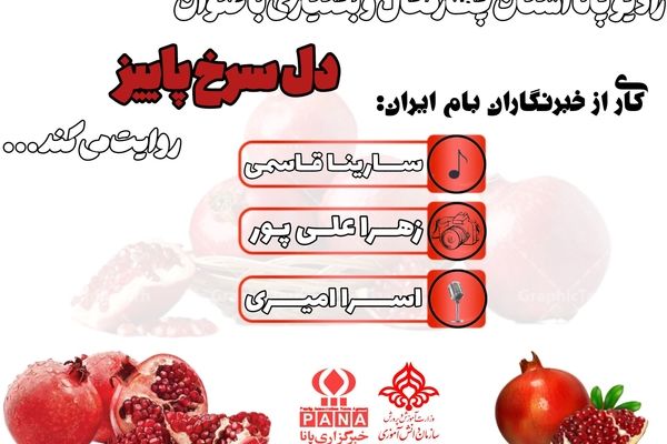 انار دانه ای از مهربانی مادر