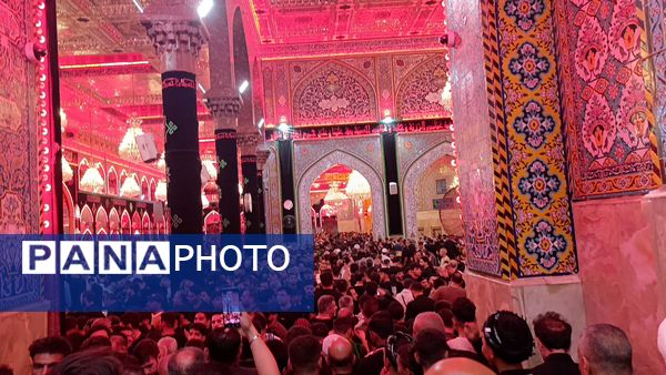 کاروان عاشقان به کربلا رسیدند؛ خیابان‌ها غرق در زمزمه «لبیک یا حسین»