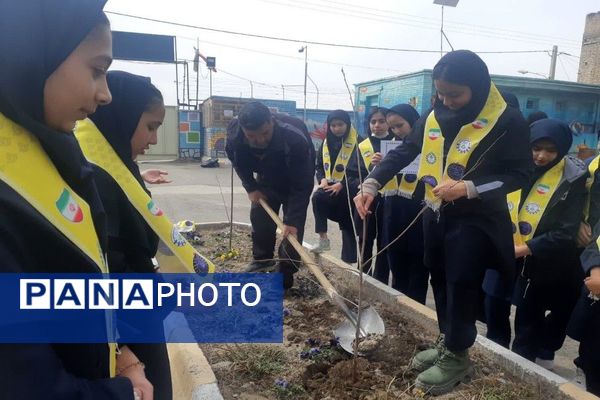 کاشت نهال به مناسبت روز درخت کاری دردبیرستان شهید مجید دهنوی 