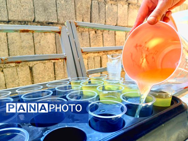 مراسم پیاده‌روی جاماندگان اربعین حسینی در میانکوه 