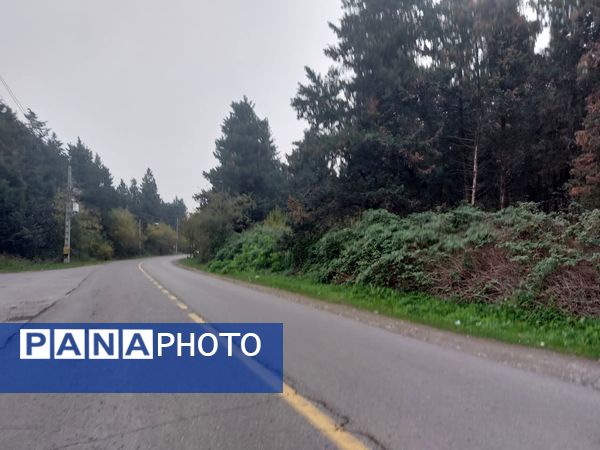 کردکوی، سرسبزترین شهرستان گلستان