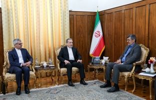 دیدار استاندار یزد با عراقچی/ قدردانی از ابتکار دیپلماسی استانی وزارت خارجه